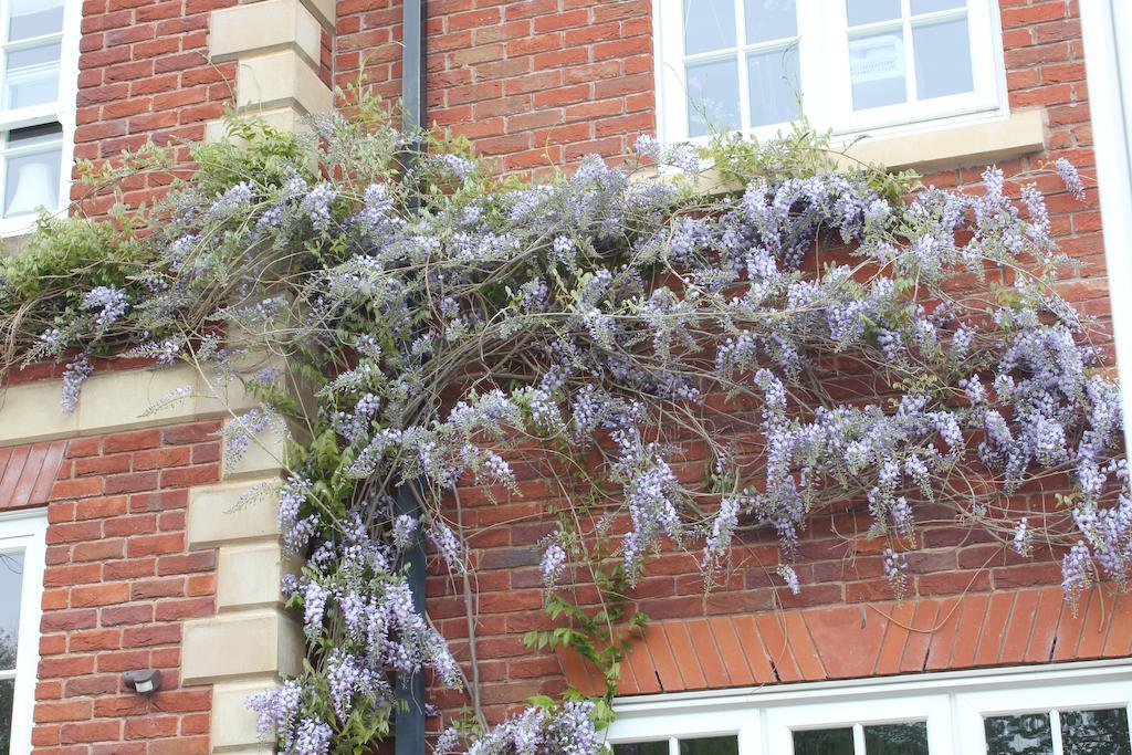 Austons Down Farm B&B Claverdon Exterior photo